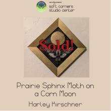 Prairie Sphynx Moth Sold