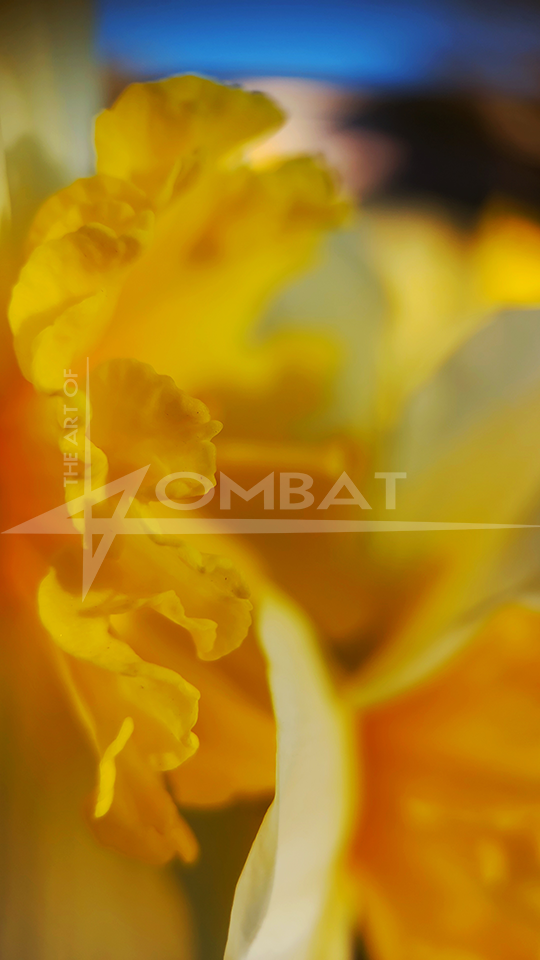 Yellow Satin